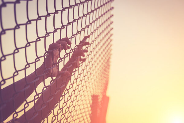 Hands holding on chain link fence