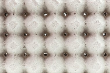 Tepsi yumurta paketleme için