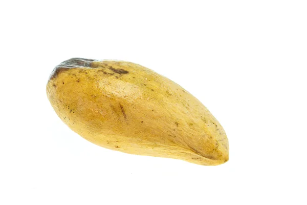 Желтый гнилой манго — стоковое фото