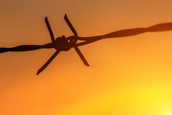 Silhouette of Barbed wire — Stock Photo, Image