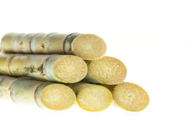 Yeşil şeker kamışı kesmek