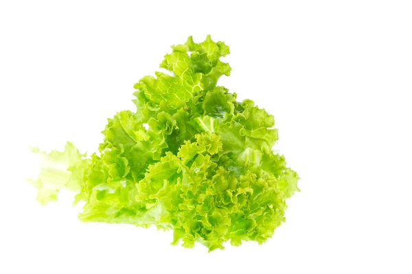 Lattuga fresca e verde — Foto Stock