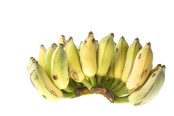 Cultivated Thai Bananas — Stock Photo, Image
