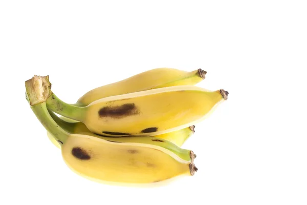 Культивуються тайський банани — стокове фото