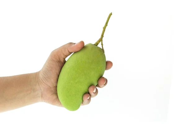 Fresh green mango — Stock Photo, Image