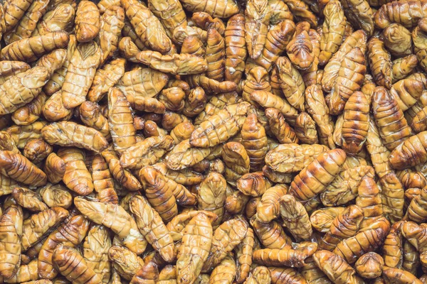 Silkworms pupaes pattern