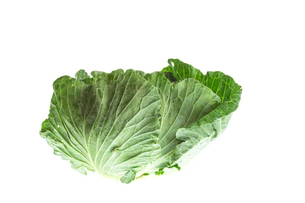 Green fresh cabbage — Stock Photo, Image