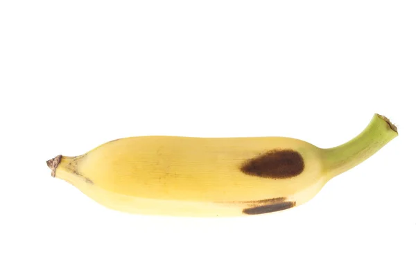 Gecultiveerde Thaise banaan — Stockfoto