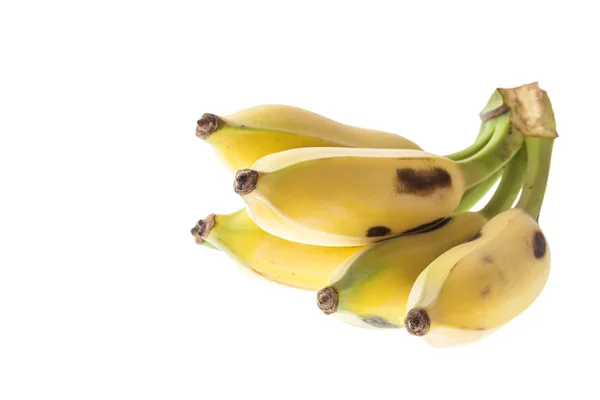 Cultivated Thai Bananas — Stock Photo, Image