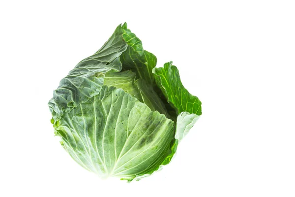 Green fresh cabbage — Stock Photo, Image