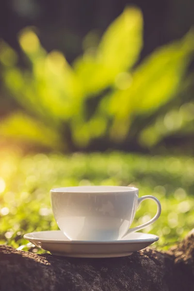 Tazza di caffè bianco in giardino — Foto Stock