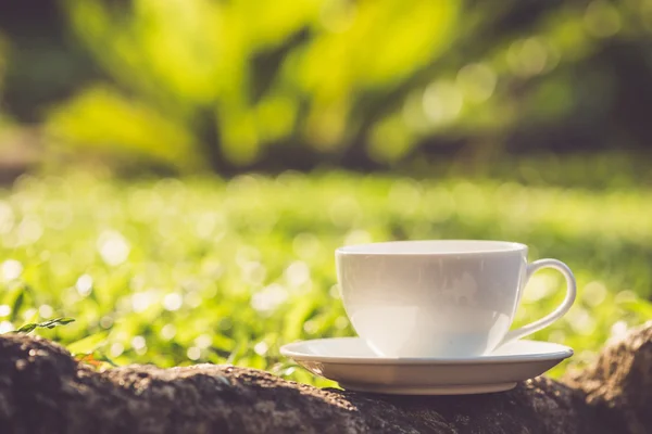 Tazza di caffè bianco in giardino — Foto Stock