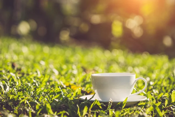 Witte koffiekopje in tuin — Stockfoto