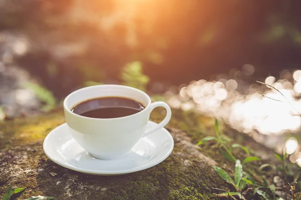 Taza de café blanco en el jardín — Foto de Stock