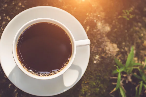 Tazza di caffè bianco in giardino — Foto Stock