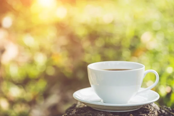 Cangkir kopi putih di kebun — Stok Foto