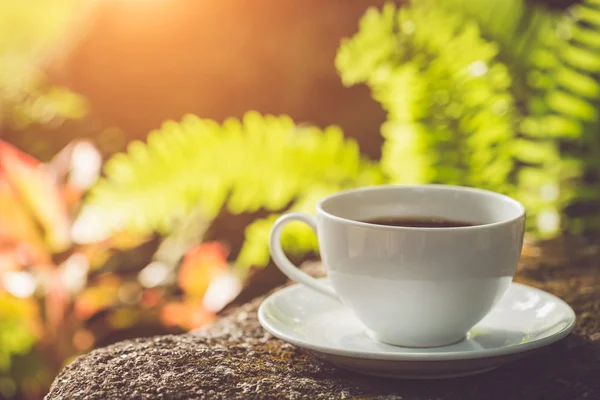 Witte koffiekopje in tuin — Stockfoto