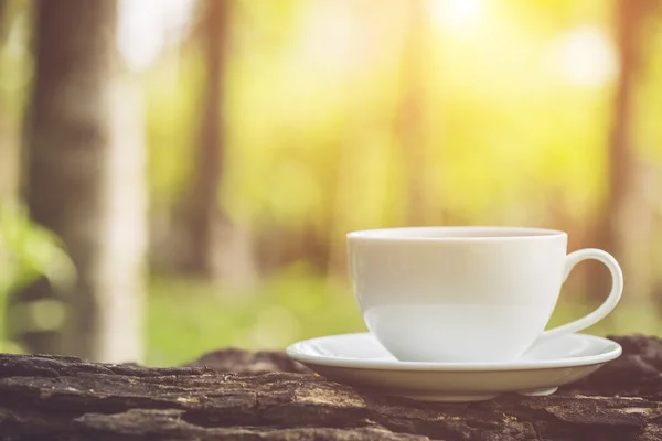 Witte koffiekopje in tuin — Stockfoto