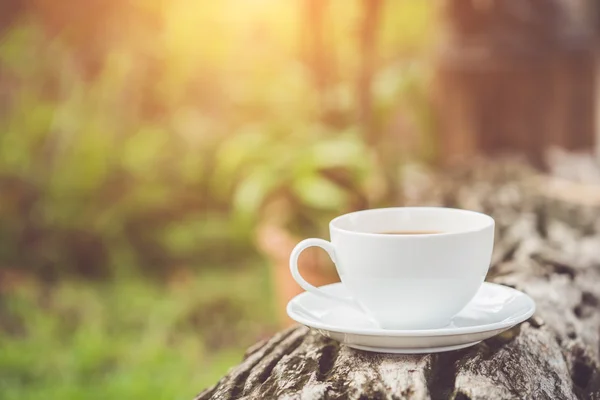 Taza de café blanco en el jardín — Foto de Stock