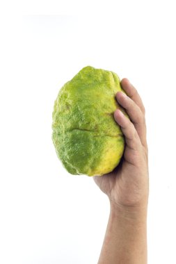 El tutma Tay yeşil limon