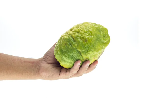 Hand holding Thai green lemon — Stock Photo, Image