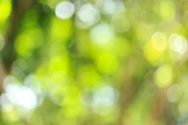 Groene natuurlijke achtergrond — Stockfoto