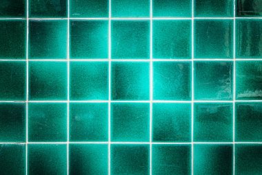 Mavi Seramik Banyo Duvar