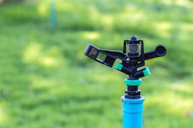 Bahçedeki siyah yağmurlama