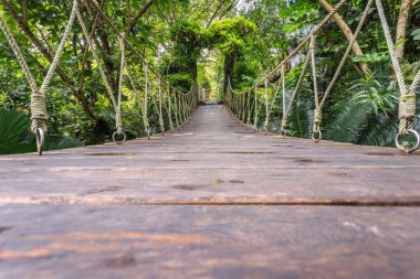 Bahçede yürüyüş için ahşap köprü
