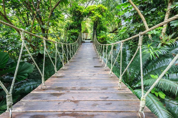 Trä-brygga för promenader i trädgården — Stockfoto