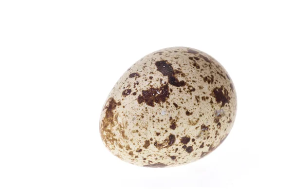 Quail egg isolated on white background — Stock Photo, Image