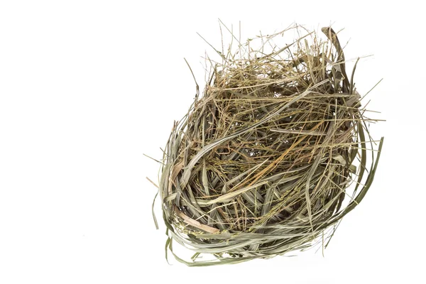 Nido de aves vacío aislado sobre fondo blanco — Foto de Stock