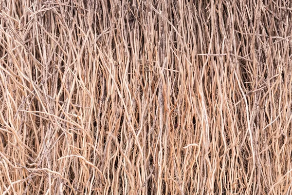 Marrone di struttura secca del cocco e sfondo — Foto Stock