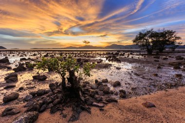 Phuket güzel gün batımı 