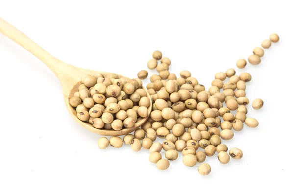 Soy beans in spoon isolated on white background — Stock Photo, Image