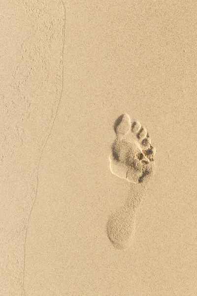 Foot prints on sand at the beach in the afternoon — Stock Photo, Image