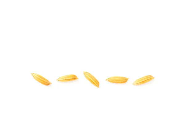 Beyaz izole sarı paddy Yasemin pirinç — Stok fotoğraf
