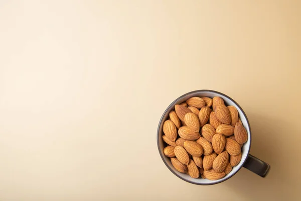 Brown almond in a coffee mug with free copy space.