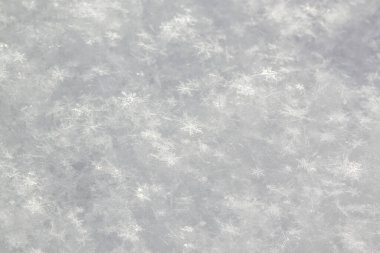 Karlara yakın, Minnesota 'da kışın kar taneleri. Noel karı.