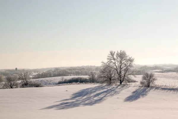 Frosty Winter Day Rural Minnesota Usa Árboles Cubiertos Heladas — Foto de Stock