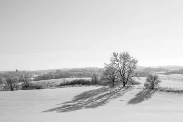 Черно Белая Фотография Морозного Зимнего Дня Сельской Местности Миннесоты Сша — стоковое фото