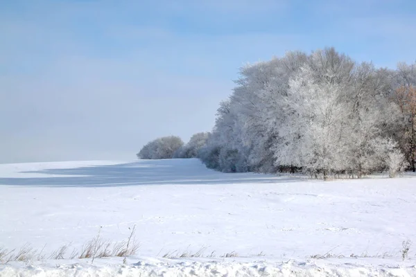 Frosty Winter Day Rural Minnesota Usa Árboles Cubiertos Heladas — Foto de Stock