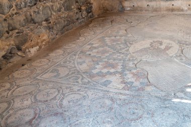 İsrail 'in Beit She' an şehrinin koruyucu tanrıçası Tyche mozaik zemini İsrail 'in Beit She' an Ulusal Parkı 'nda.