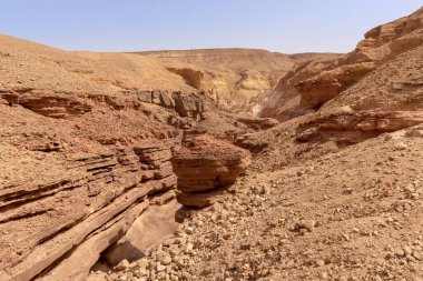 İsrail 'in güneyindeki Kızıl Kanyon. Doğal kaya oluşumları.