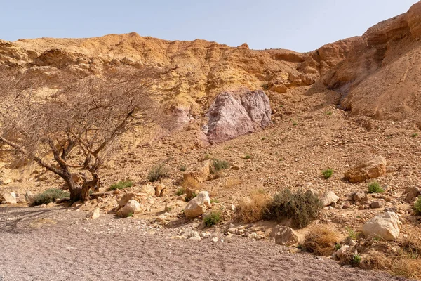 Cañón Rojo Sur Israel Formaciones Rocosas Naturales — Foto de Stock