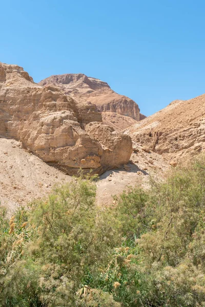 Природний Заповідник Юди Ізраїлі — стокове фото