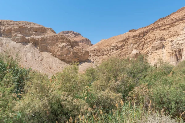 Reserva Natural Del Desierto Judeo Israel — Foto de Stock