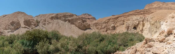 Панорама Заповідника Юдейської Пустелі Поблизу Входу — стокове фото