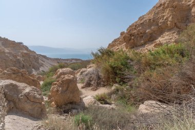 İsrail 'in güneyindeki Ein Gedi Milli Parkı Ölü Deniz' in yanında.