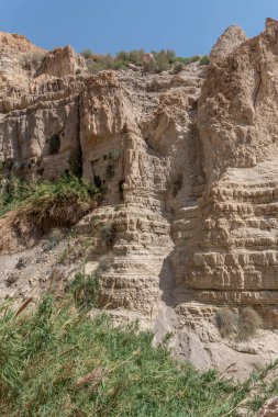 İsrail 'in güneyindeki Ein Gedi Milli Parkı Ölü Deniz' in yanında.